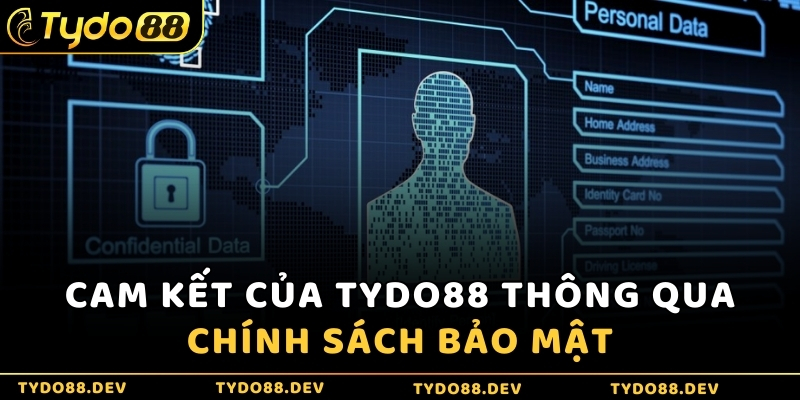 Cam kết của Tydo88 thông qua chính sách bảo mật