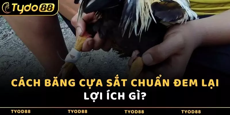 Cách băng cựa sắt chuẩn đem lại lợi ích gì?